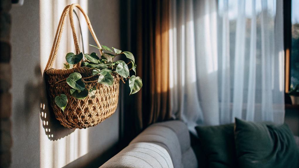 decorative scalloped planter basket