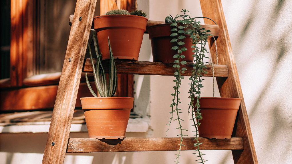 wooden ladder decor display